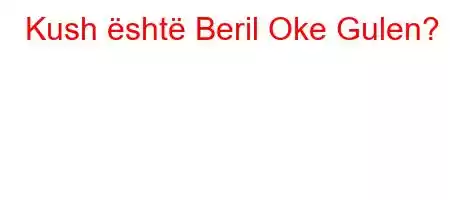 Kush është Beril Oke Gulen?