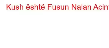 Kush është Fusun Nalan Acin