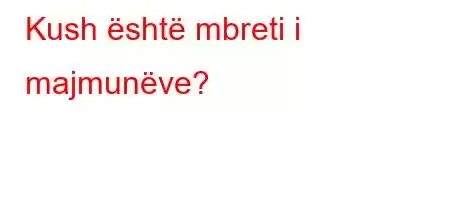 Kush është mbreti i majmunëve