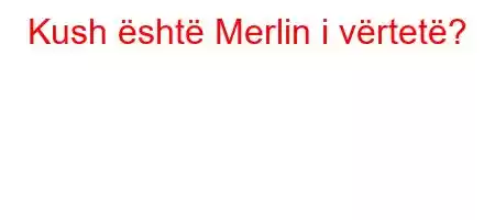 Kush është Merlin i vërtetë?