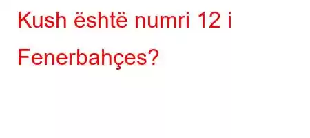 Kush është numri 12 i Fenerbahçes?