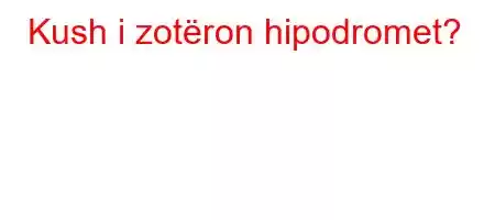 Kush i zotëron hipodromet