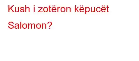 Kush i zotëron këpucët Salomon?