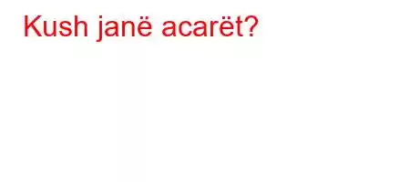 Kush janë acarët?