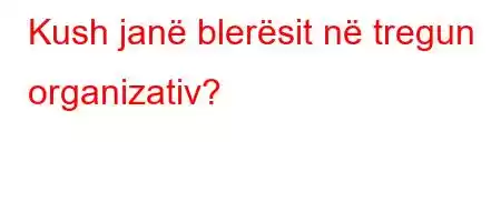 Kush janë blerësit në tregun organizativ?