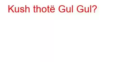 Kush thotë Gul Gul?