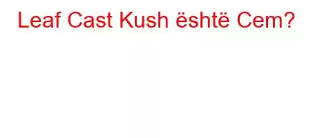 Leaf Cast Kush është Cem