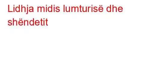 Lidhja midis lumturisë dhe shëndetit