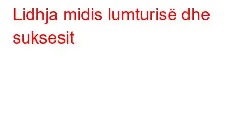 Lidhja midis lumturisë dhe suksesit