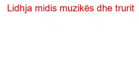 Lidhja midis muzikës dhe trurit