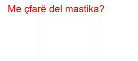 Me çfarë del mastika?