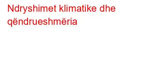 Ndryshimet klimatike dhe qëndrueshmëria