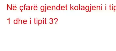 Në çfarë gjendet kolagjeni i tipit 1 dhe i tipit 3