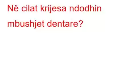 Në cilat krijesa ndodhin mbushjet dentare?