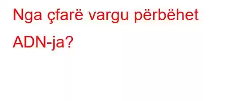 Nga çfarë vargu përbëhet ADN-ja