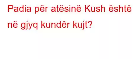 Padia për atësinë Kush është në gjyq kundër kujt?