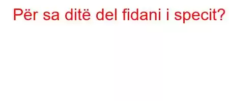 Për sa ditë del fidani i specit?