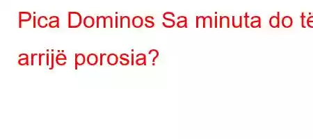 Pica Dominos Sa minuta do të arrijë porosia?