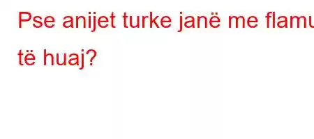 Pse anijet turke janë me flamuj të huaj