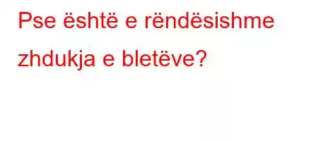 Pse është e rëndësishme zhdukja e bletëve?