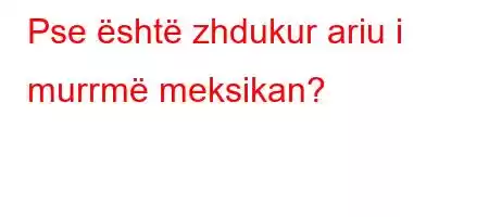 Pse është zhdukur ariu i murrmë meksikan?