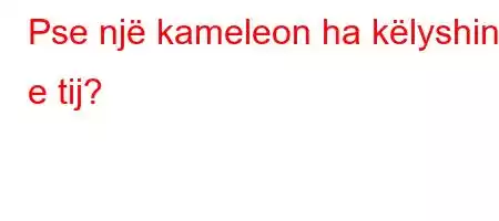 Pse një kameleon ha këlyshin e tij?