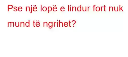 Pse një lopë e lindur fort nuk mund të ngrihet?