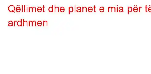 Qëllimet dhe planet e mia për të ardhmen