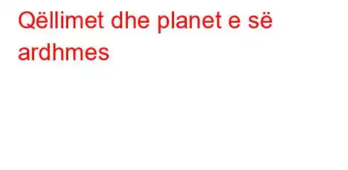 Qëllimet dhe planet e së ardhmes