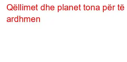 Qëllimet dhe planet tona për të ardhmen