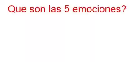 Que son las 5 emociones