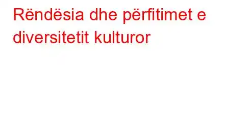 Rëndësia dhe përfitimet e diversitetit kulturor