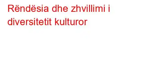 Rëndësia dhe zhvillimi i diversitetit kulturor