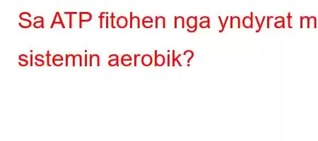 Sa ATP fitohen nga yndyrat me sistemin aerobik?