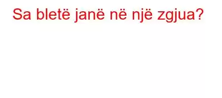 Sa bletë janë në një zgjua?