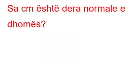 Sa cm është dera normale e dhomës?