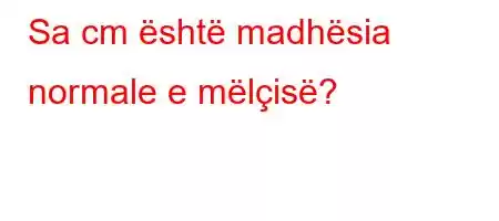 Sa cm është madhësia normale e mëlçisë