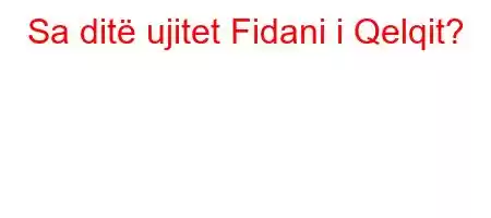 Sa ditë ujitet Fidani i Qelqit?