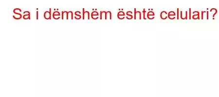 Sa i dëmshëm është celulari?