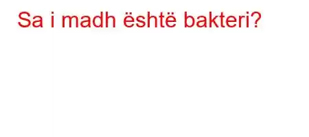 Sa i madh është bakteri?