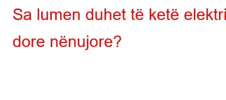 Sa lumen duhet të ketë elektrik dore nënujore?