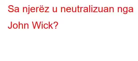 Sa njerëz u neutralizuan nga John Wick?