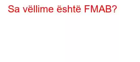 Sa vëllime është FMAB?