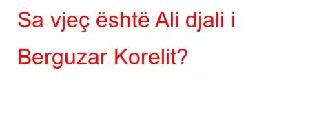 Sa vjeç është Ali djali i Berguzar Korelit?