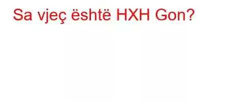 Sa vjeç është HXH Gon?