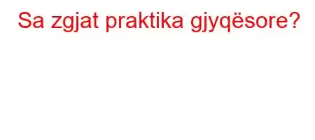 Sa zgjat praktika gjyqësore?