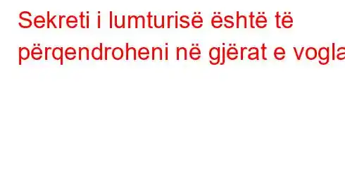 Sekreti i lumturisë është të përqendroheni në gjërat e vogla