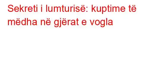 Sekreti i lumturisë: kuptime të mëdha në gjërat e vogla