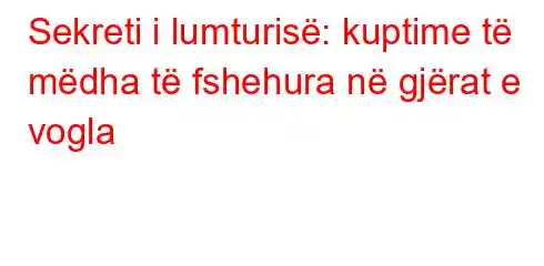 Sekreti i lumturisë: kuptime të mëdha të fshehura në gjërat e vogla