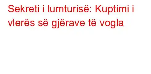 Sekreti i lumturisë: Kuptimi i vlerës së gjërave të vogla